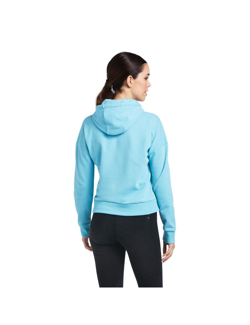 Sweat à Capuche Ariat Just Bleu Femme | JDS-64668948