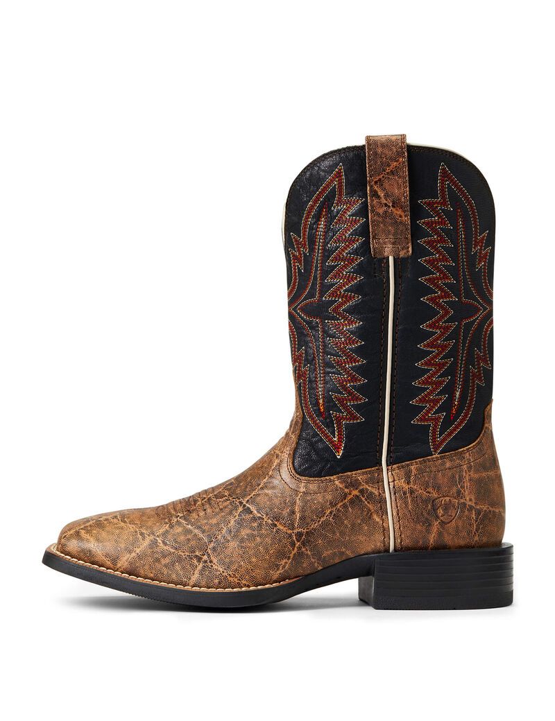 Bottes Western Ariat Sport Smokewagon Multicolore Homme | AHX-68357502