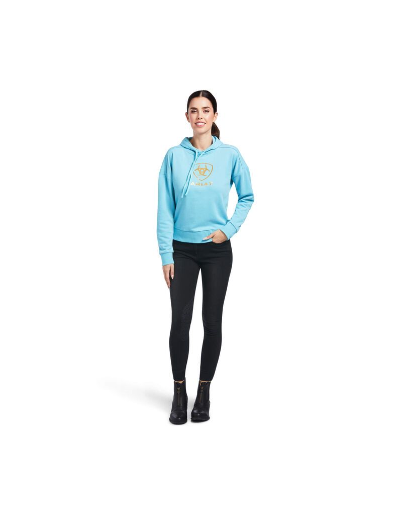 Sweat à Capuche Ariat Just Bleu Femme | JDS-64668948