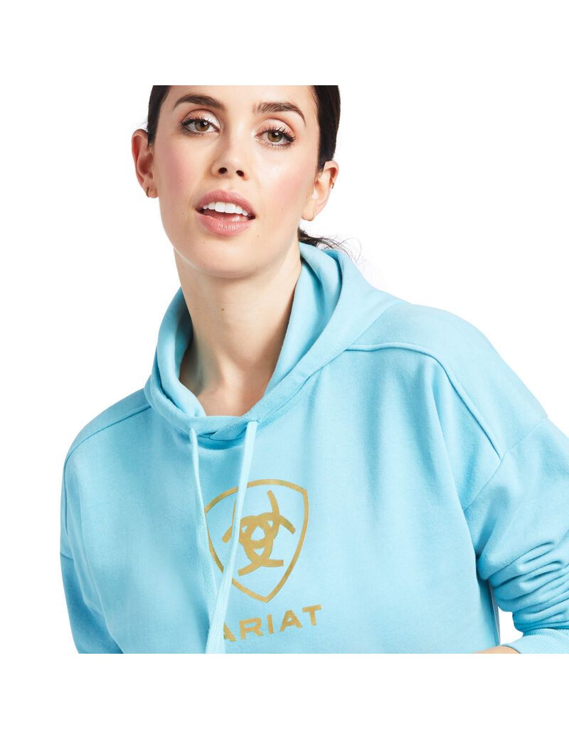 Sweat à Capuche Ariat Just Bleu Femme | JDS-64668948