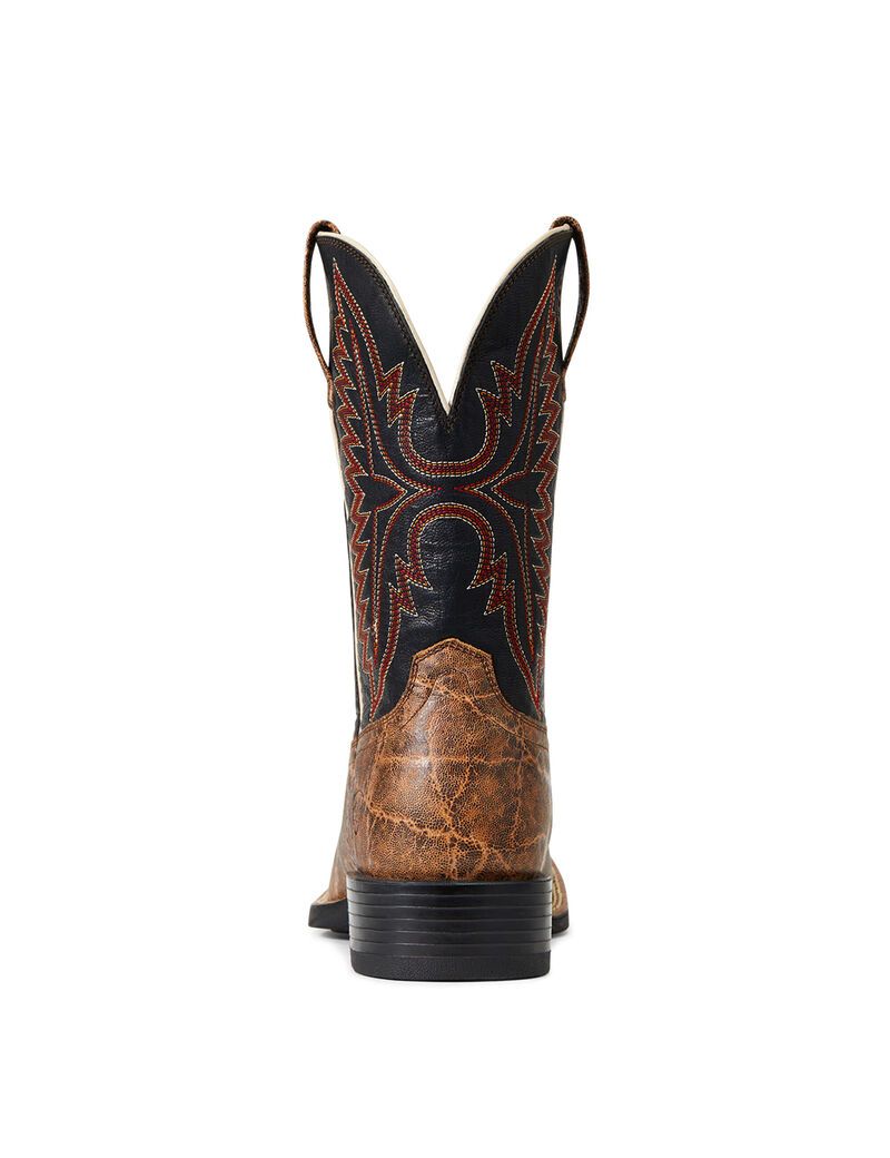 Bottes Western Ariat Sport Smokewagon Multicolore Homme | AHX-68357502