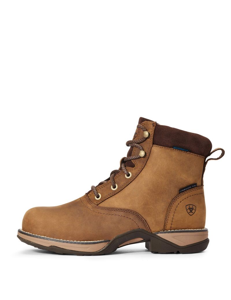 Bottes de Travail Ariat Anthem Round Embout Lacer Imperméables Composite Embout Marron Femme | YWK-42370863