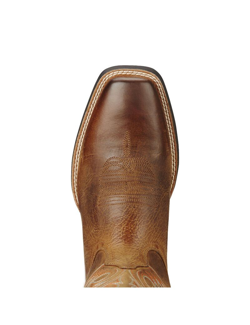 Bottes Western Ariat Sport Herdsman Marron Homme | ELW-91125381