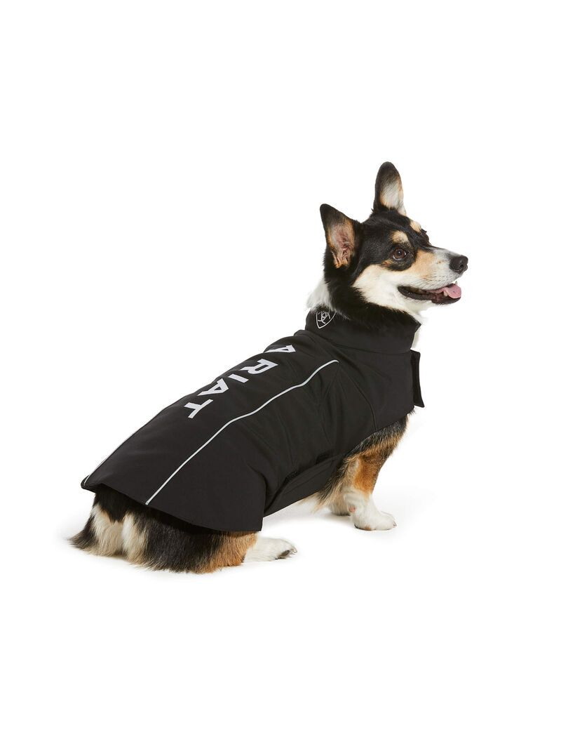 Pet Accessories Ariat Team Softshell Dog Jackets Noir Femme | JIC-48603450