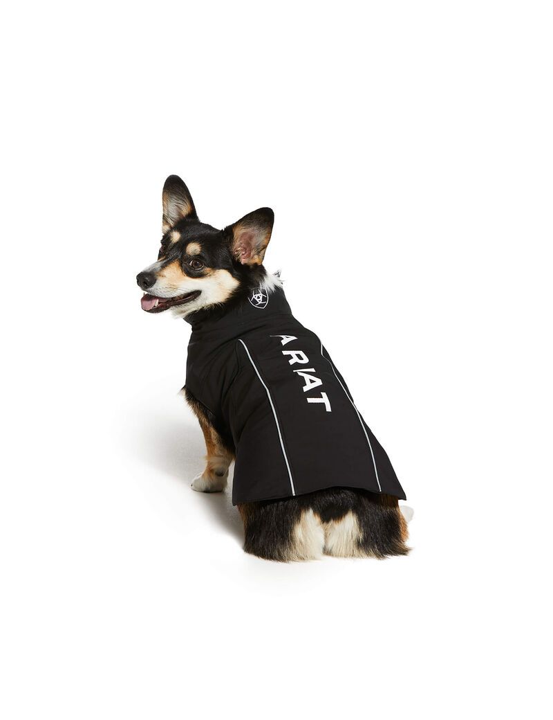 Pet Accessories Ariat Team Softshell Dog Jackets Noir Femme | JIC-48603450