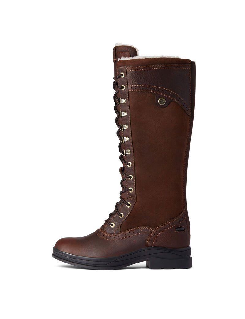 Bottes D'équitation Ariat Wythburn Alti Imperméables Marron Foncé Femme | GLP-00466324