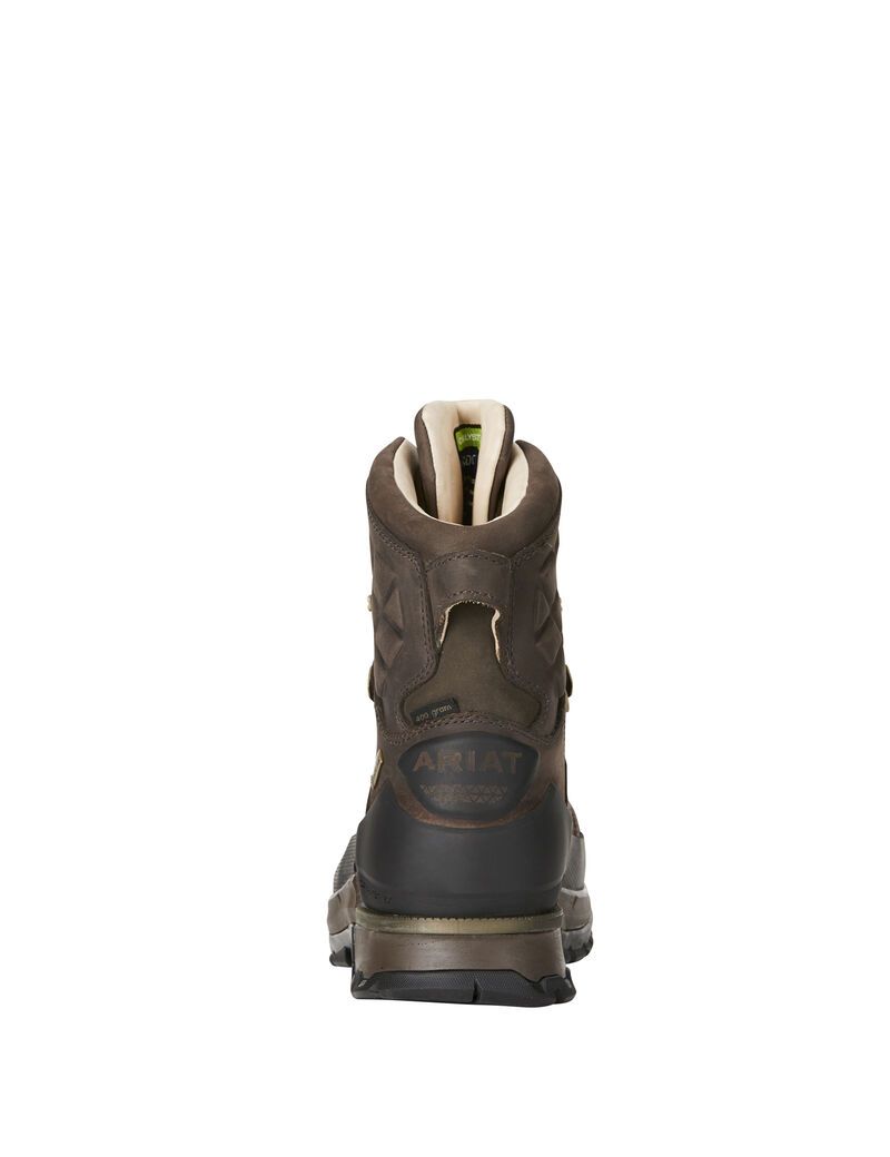 Bottes Randonnée Ariat Catalyst VX Defiant 8' Gore-Tex 400g Hunting Marron Homme | VBB-22448063