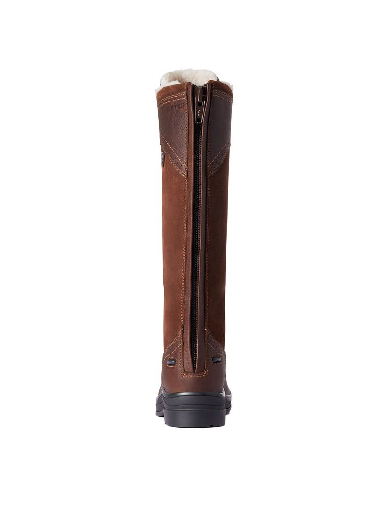 Bottes D'équitation Ariat Wythburn Alti Imperméables Marron Foncé Femme | GLP-00466324