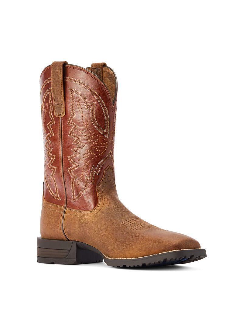 Bottes Western Ariat Hybride Ranchwork Multicolore Homme | HKP-03143671