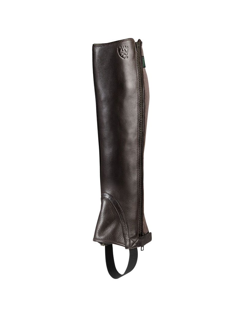 Bottes D'équitation Ariat Breeze Chap Half Chap Chocolat Femme | HVA-88666041