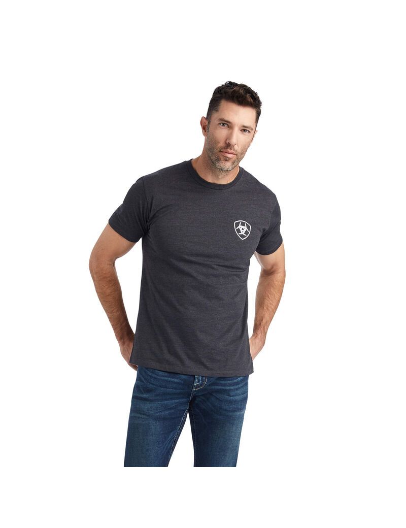 T Shirts Ariat Wingspan Grise Homme | XBE-47148463