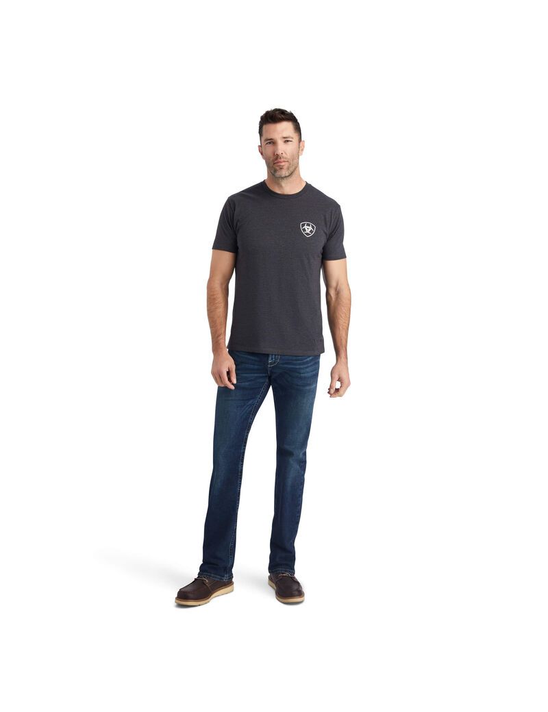 T Shirts Ariat Wingspan Grise Homme | XBE-47148463