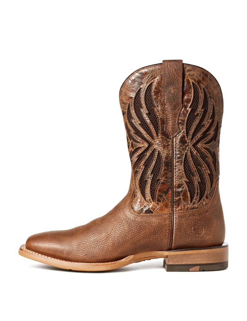 Bottes Western Ariat Arena Record Venttek Multicolore Homme | HAP-28545407