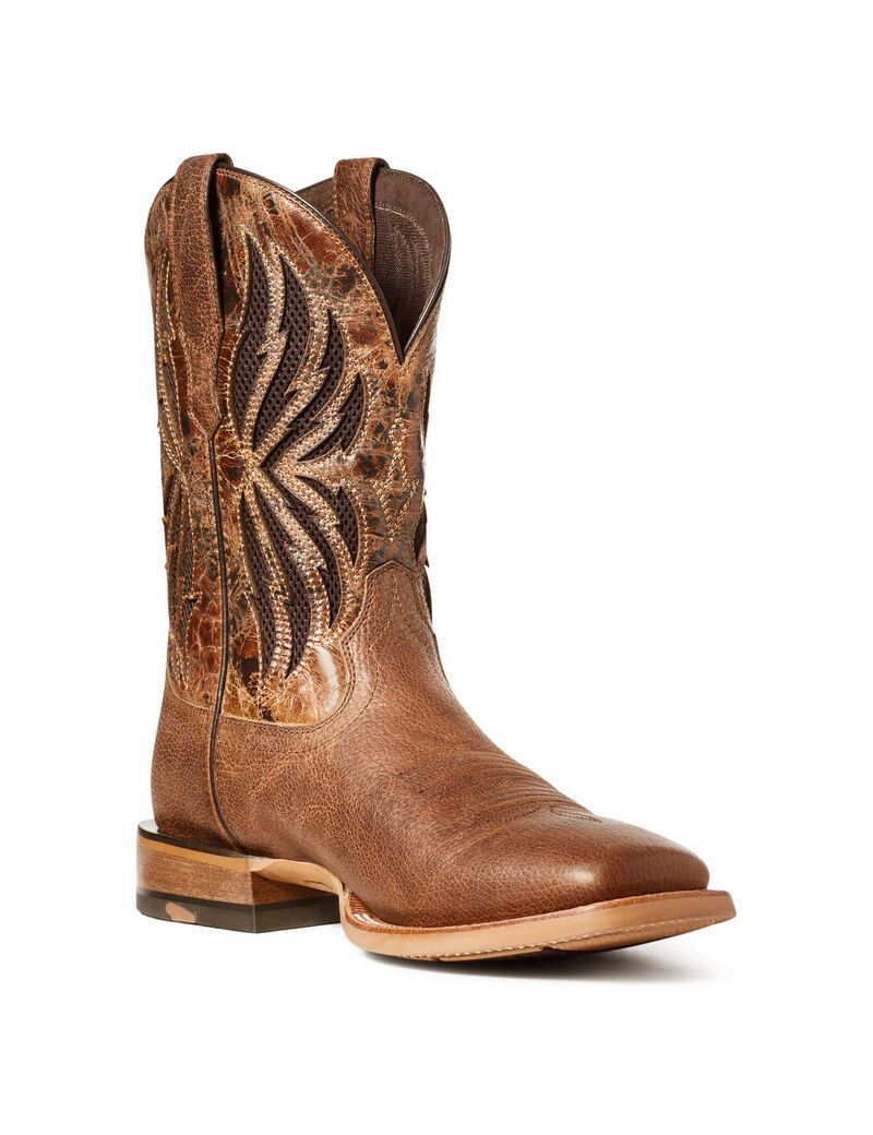 Bottes Western Ariat Arena Record Venttek Multicolore Homme | HAP-28545407