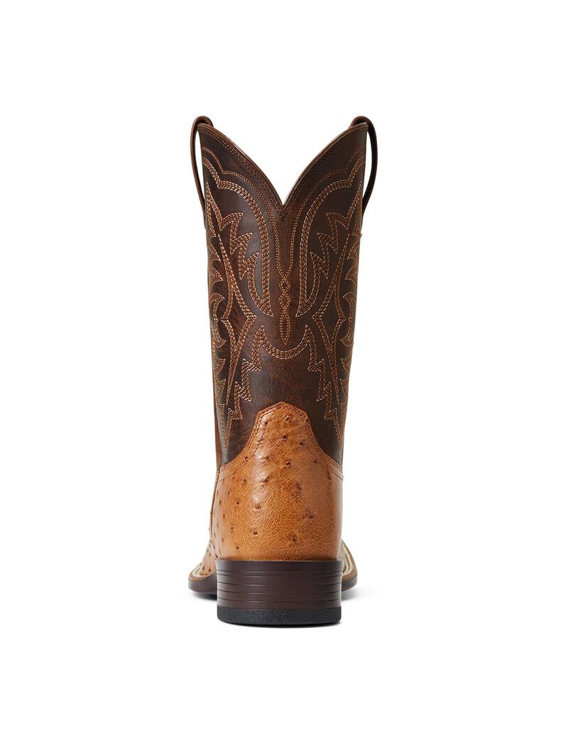 Bottes Western Ariat Night Life Ultra Multicolore Homme | GPC-66391750