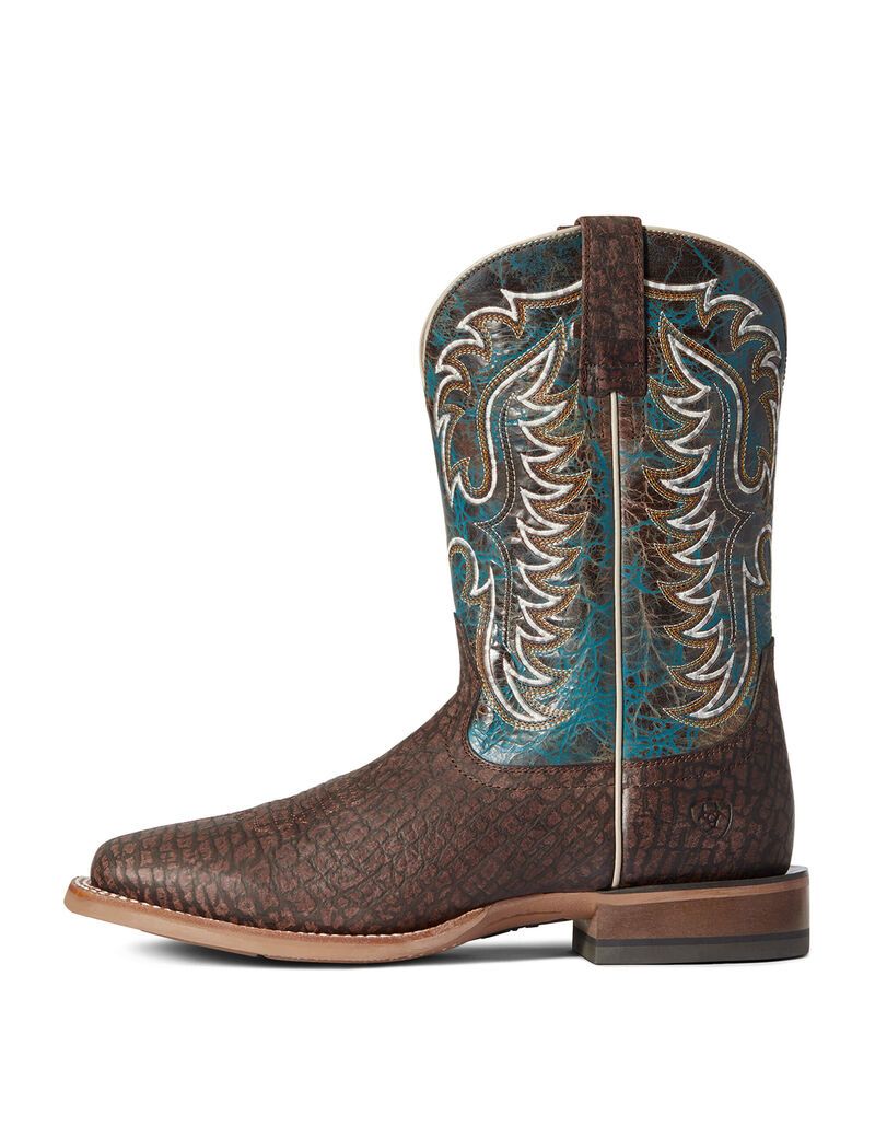 Bottes Western Ariat Stinger Marron Foncé Homme | AMX-12857541