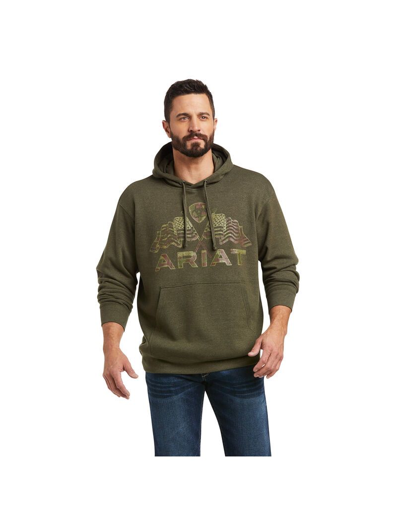 Sweat à Capuche Ariat Basic Sweatshirt Vert Olive Homme | VPI-00734234