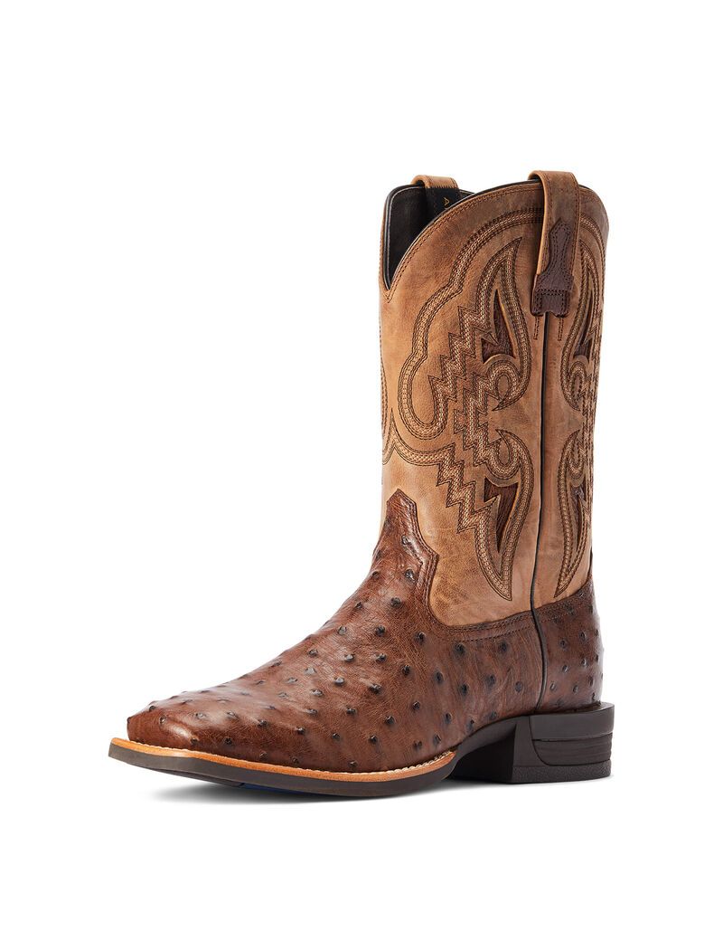 Bottes Western Ariat Dagger Multicolore Homme | TBW-34235871