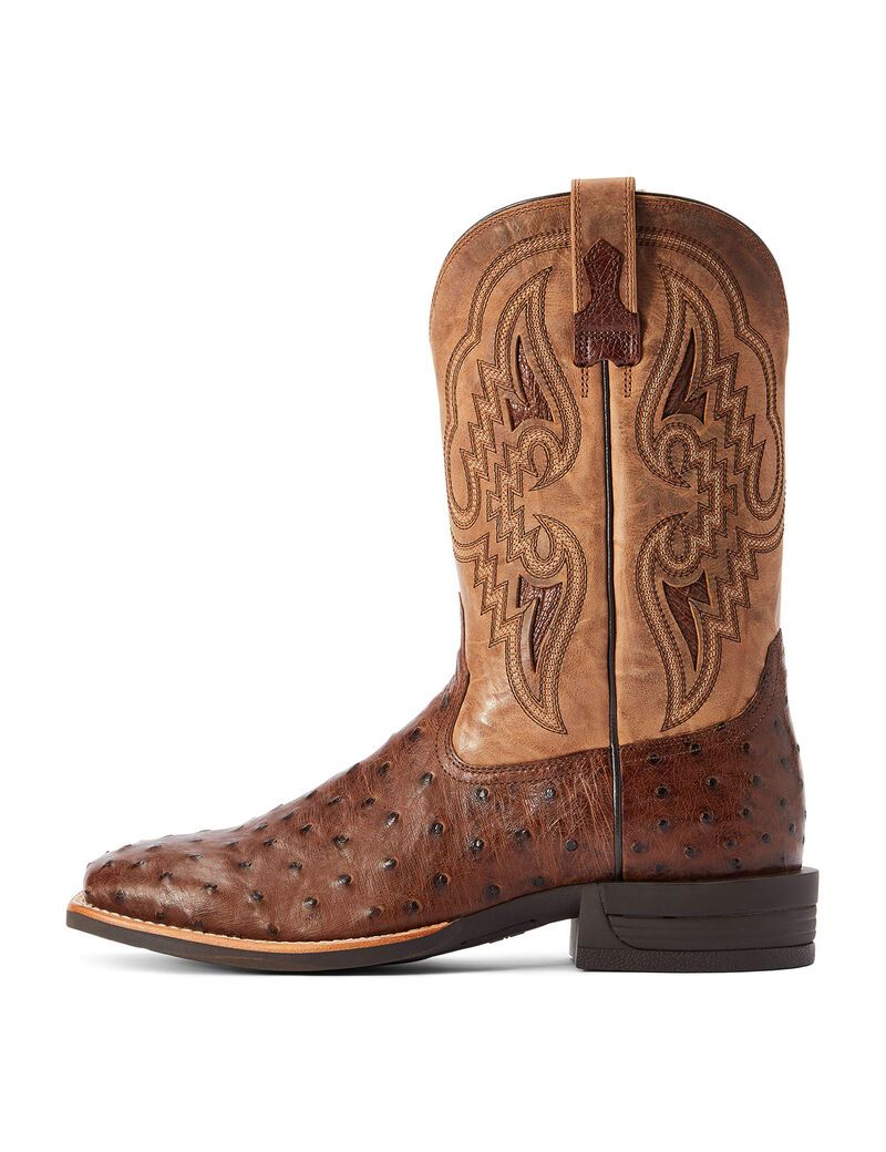 Bottes Western Ariat Dagger Multicolore Homme | TBW-34235871