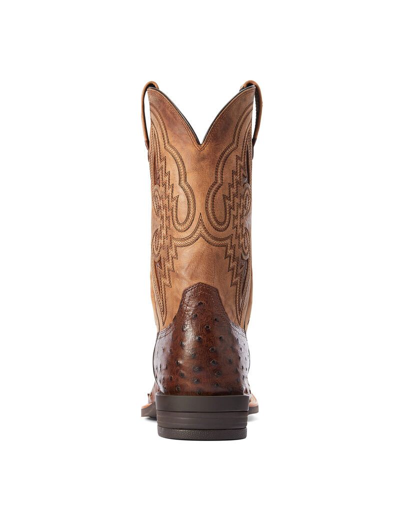 Bottes Western Ariat Dagger Multicolore Homme | TBW-34235871