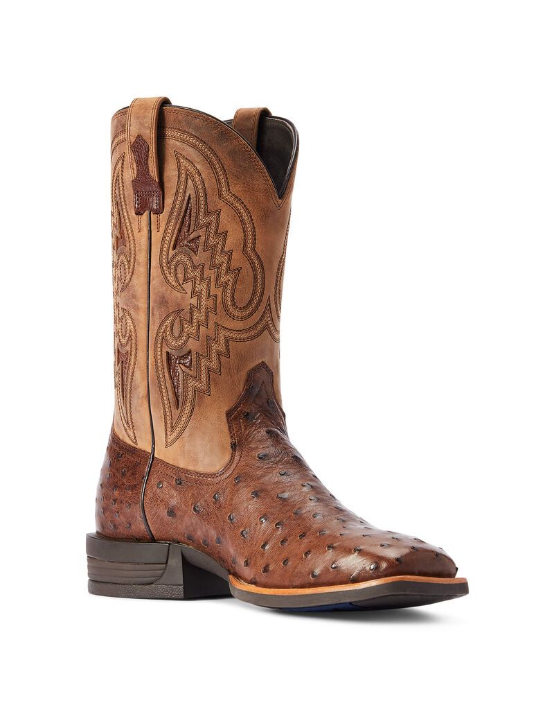 Bottes Western Ariat Dagger Multicolore Homme | TBW-34235871