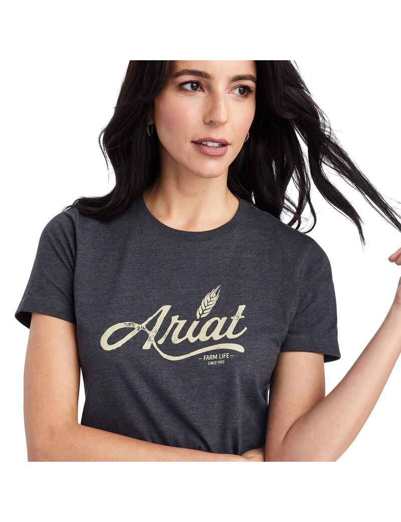 Hauts Ariat Wheat Script Tee Grise Femme | CZW-70193931