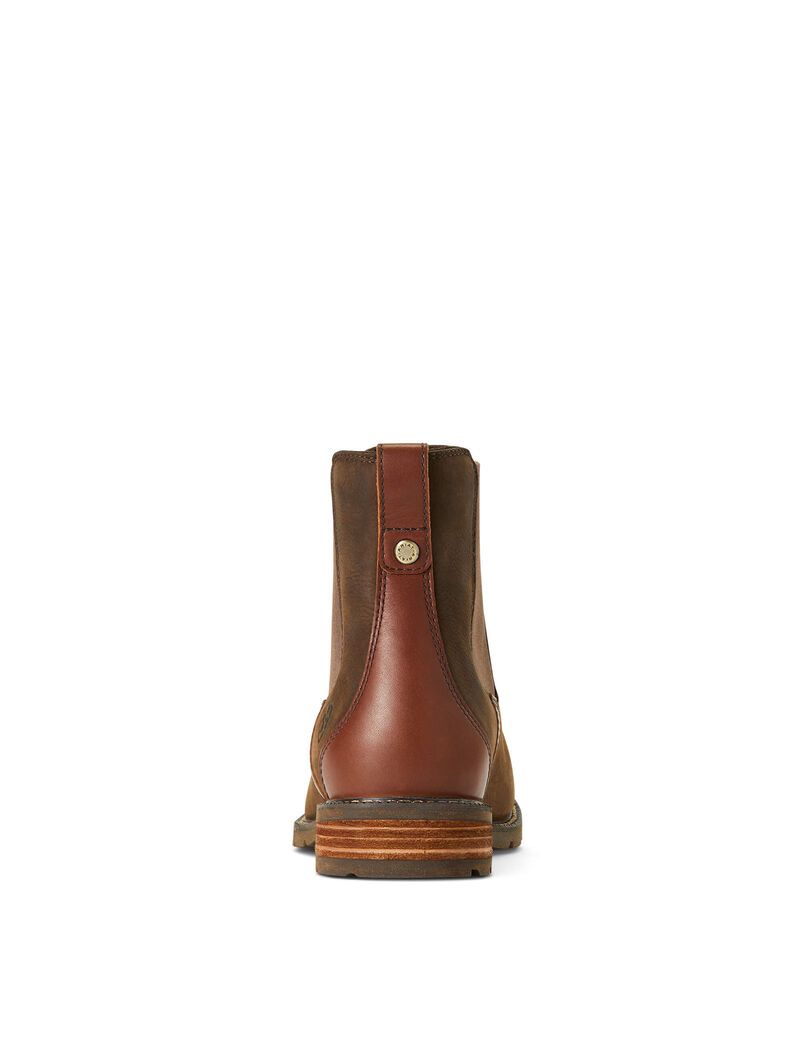 Bottines Ariat Wexford Imperméables Multicolore Femme | WFI-20029640