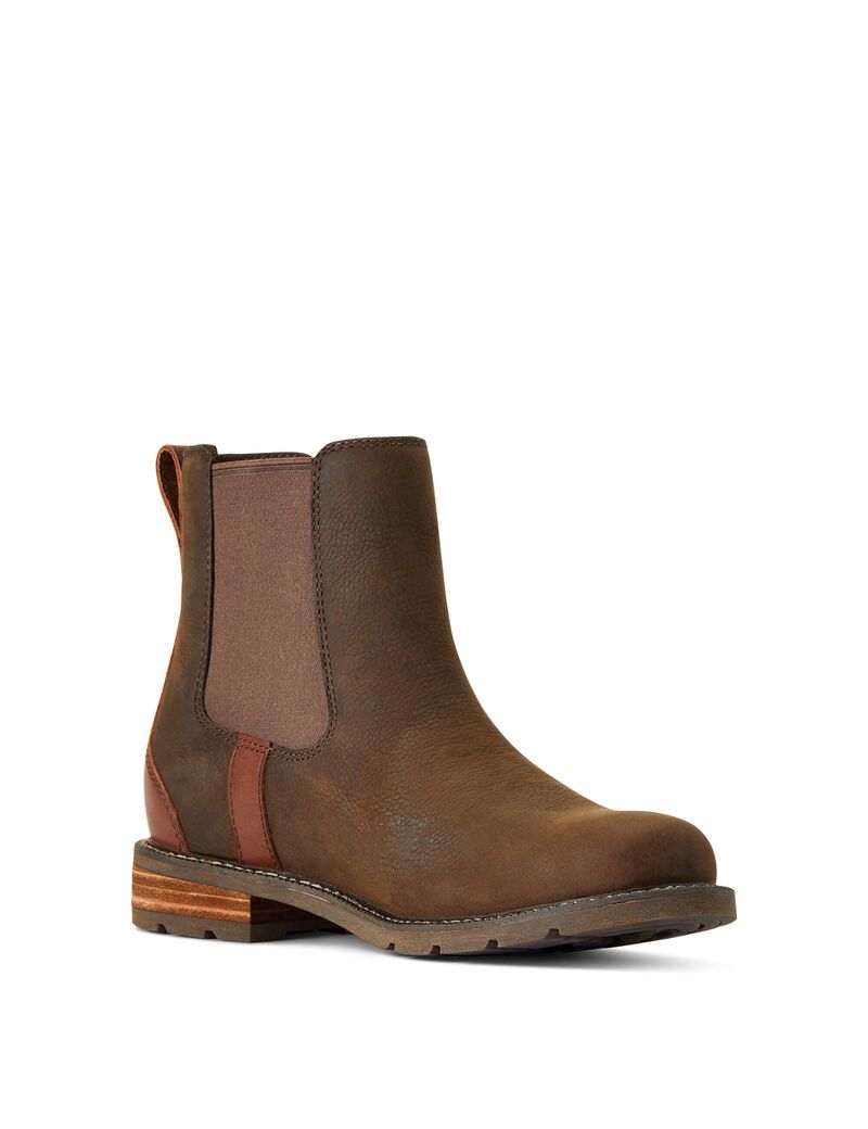 Bottines Ariat Wexford Imperméables Multicolore Femme | WFI-20029640