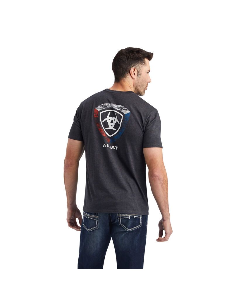 T Shirts Ariat Woodgrain Shield Grise Homme | LAP-50967827