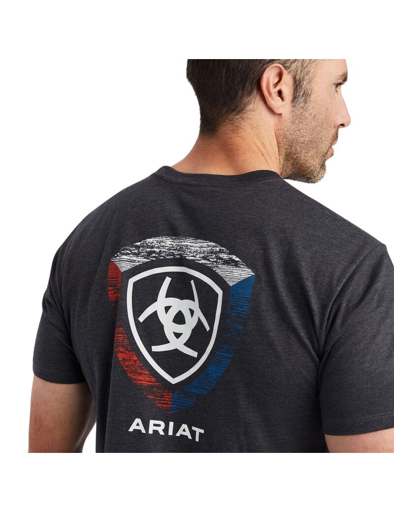 T Shirts Ariat Woodgrain Shield Grise Homme | LAP-50967827