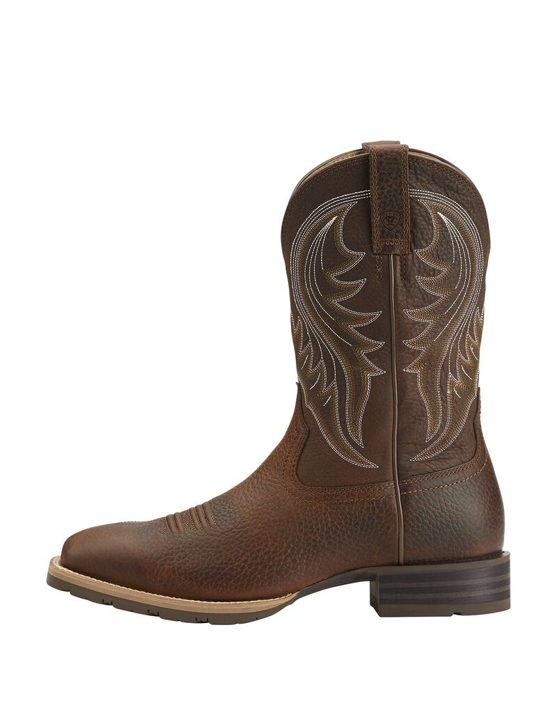 Bottes Western Ariat Hybride Rancher Marron Homme | ETM-73802273