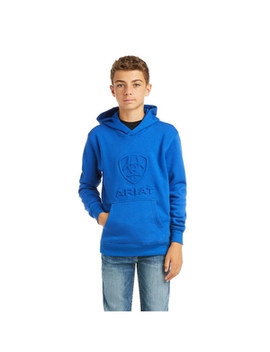 Sweat à Capuche Ariat Basic Sweatshirt Bleu Foncé Enfant | UYS-72533535