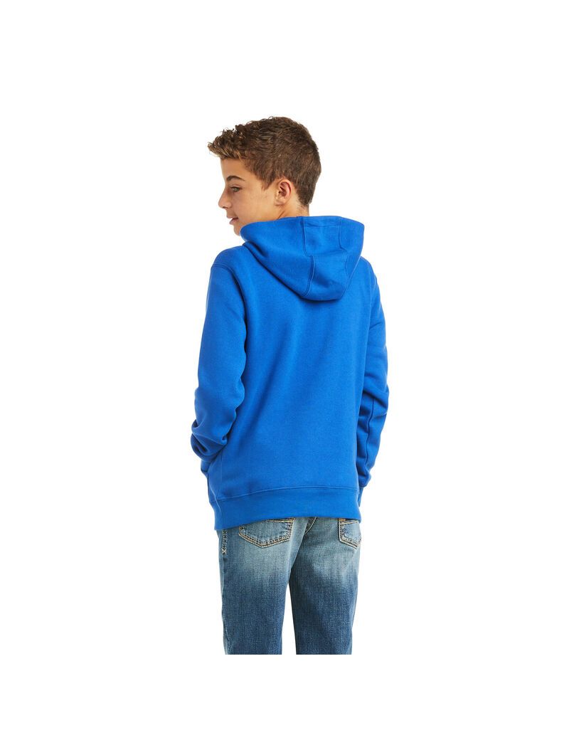 Sweat à Capuche Ariat Basic Sweatshirt Bleu Foncé Enfant | UYS-72533535