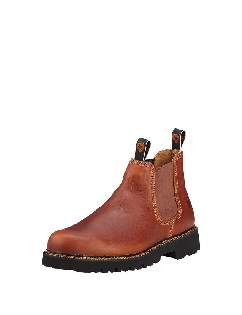 Bottines Chelsea Ariat Spot Hog Multicolore Homme | ODB-29999034