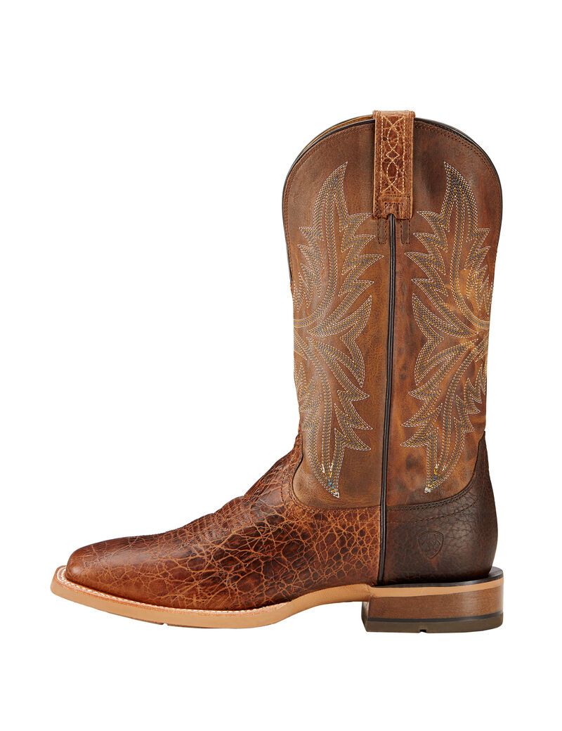 Bottes Western Ariat Cowhand Multicolore Homme | VIQ-59111057