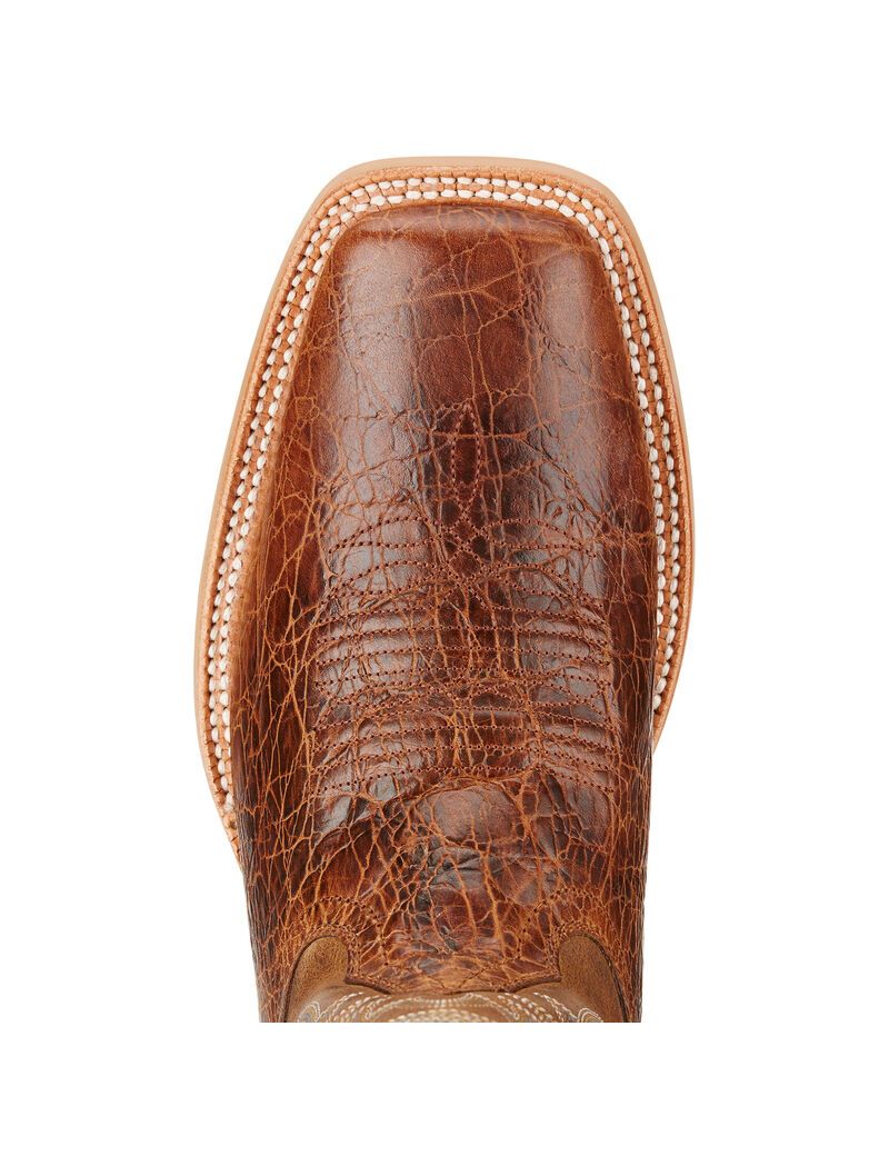 Bottes Western Ariat Cowhand Multicolore Homme | VIQ-59111057