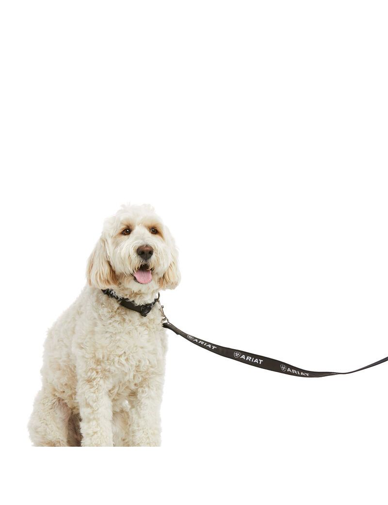 Pet Accessories Ariat Dog Leash Noir Grise Homme | SBI-03126100