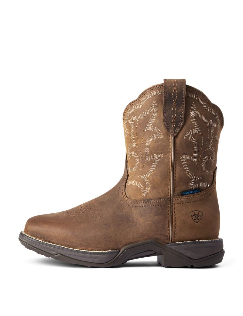 Bottes Imperméables Ariat Anthem Shortie II Western Marron Femme | URI-69114402