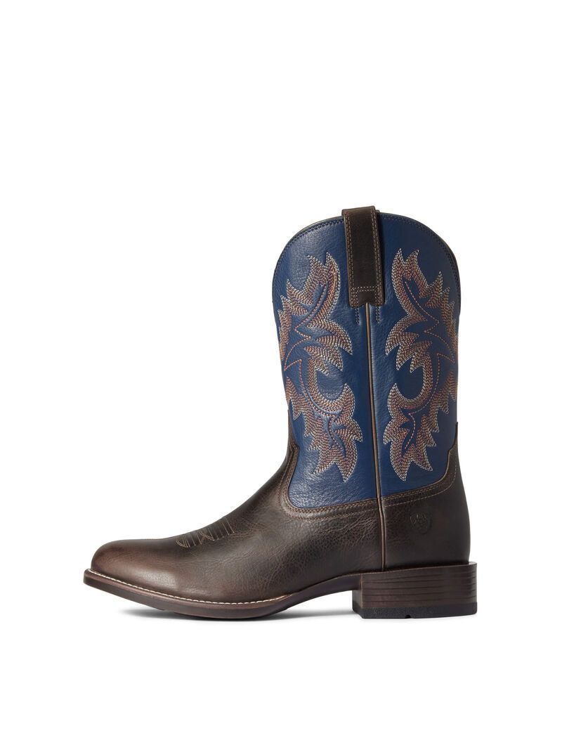 Bottes Western Ariat Stockman Ultra Multicolore Homme | LTW-12726655