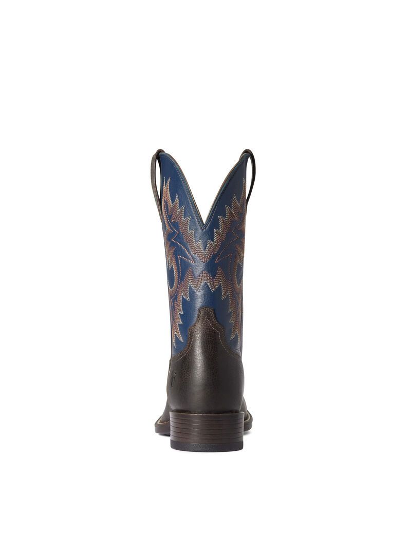 Bottes Western Ariat Stockman Ultra Multicolore Homme | LTW-12726655