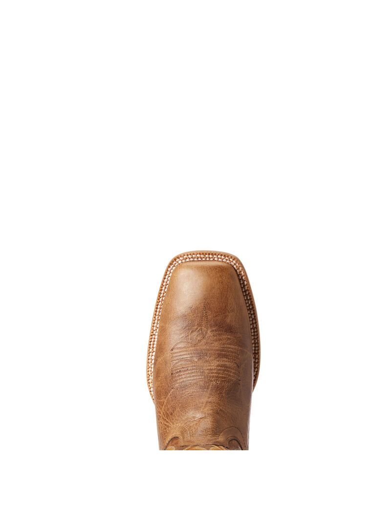 Bottes Western Ariat Toledo Beige Homme | ZUO-55734346