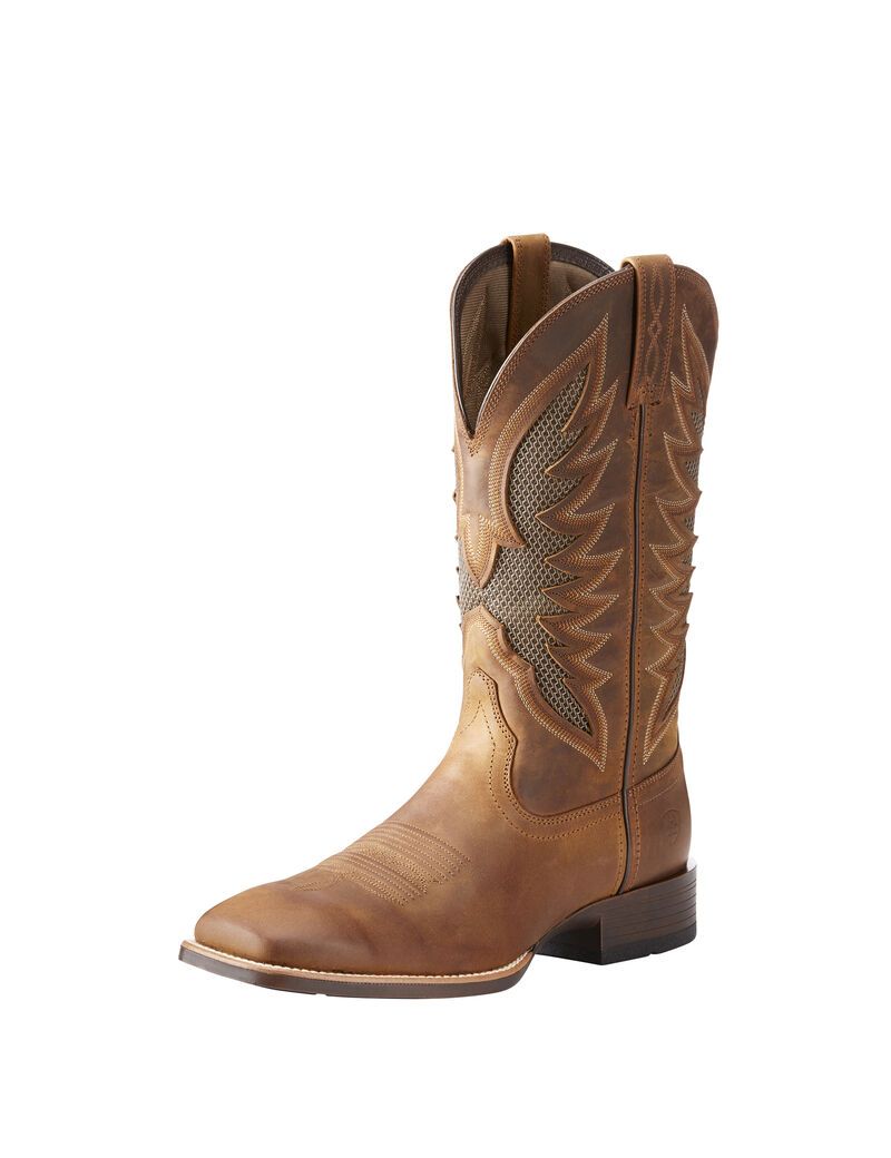 Bottes Western Ariat Venttek Ultra Marron Homme | BEI-90309377