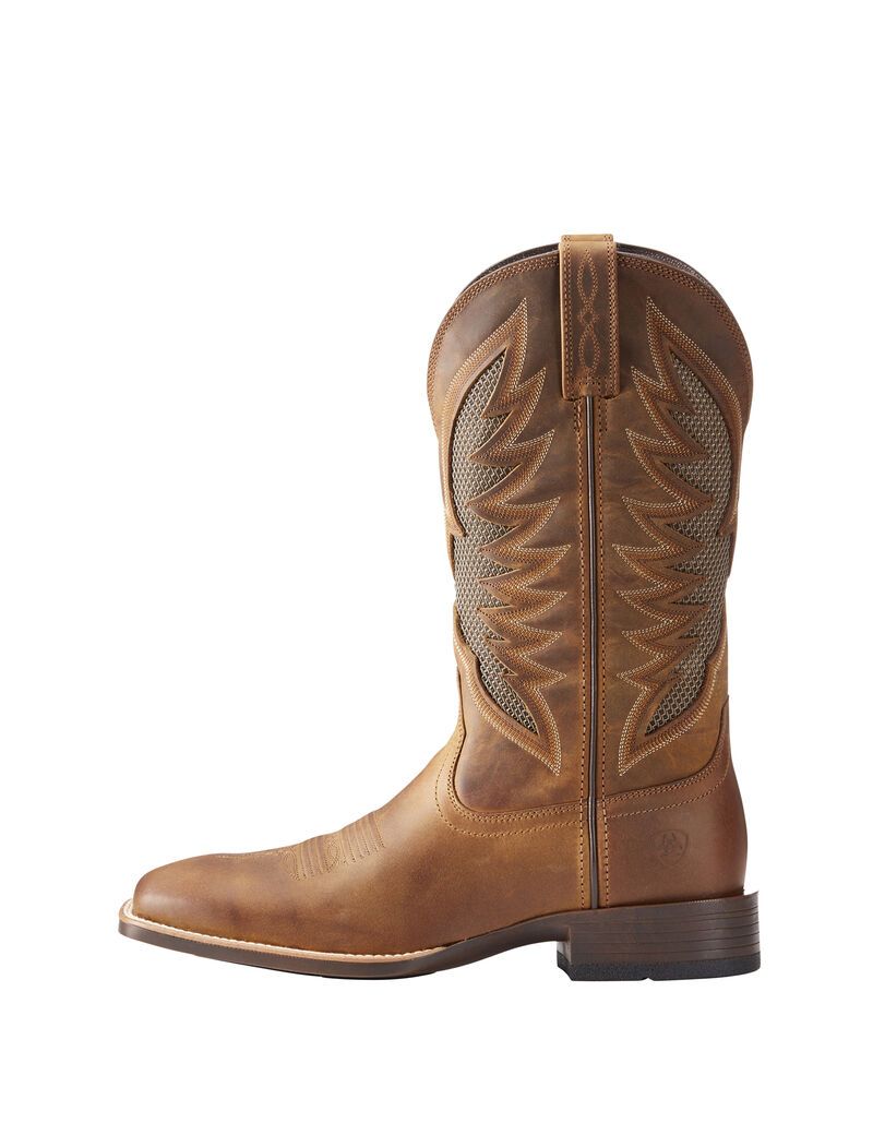 Bottes Western Ariat Venttek Ultra Marron Homme | BEI-90309377