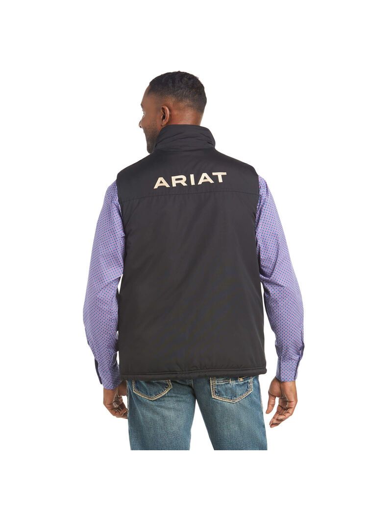 Gilet Ariat Team Logo Insulated Noir Homme | OIT-64835439