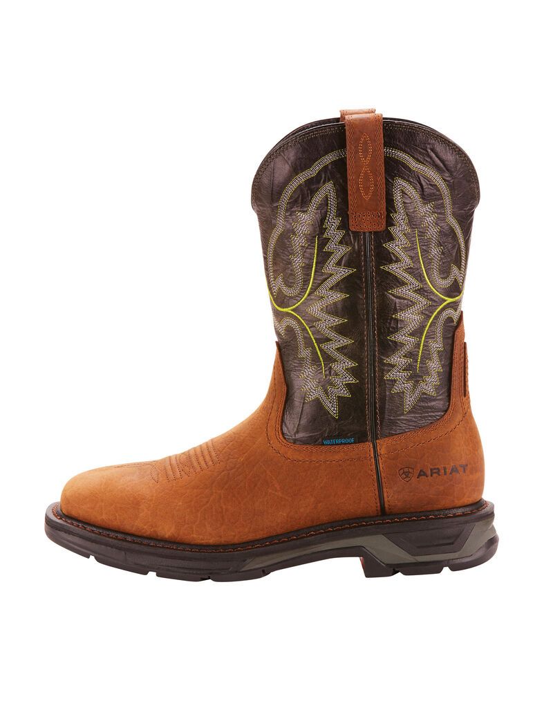 Bottes Imperméables Ariat WorkHog XT Travail Multicolore Homme | HNP-52685463