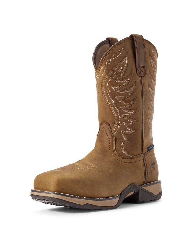 Bottes Imperméables Ariat Anthem Composite Embout Travail Marron Femme | ZYY-87393165