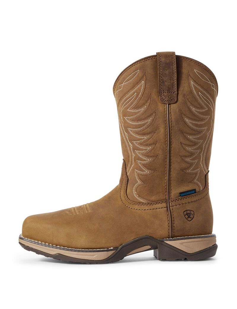 Bottes Imperméables Ariat Anthem Composite Embout Travail Marron Femme | ZYY-87393165