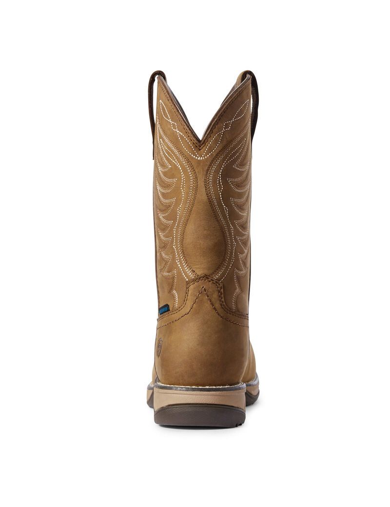 Bottes Imperméables Ariat Anthem Composite Embout Travail Marron Femme | ZYY-87393165