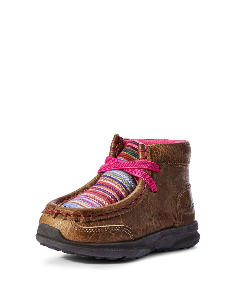 Chaussures Casual Ariat Toddler Lil' Stompers Aurora Spitfire Marron Enfant | QDP-26373195