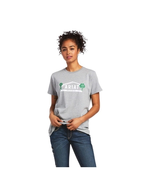 Vêtements De Travail Ariat Rebar Coton Strong Farm Graphique T Shirts Grise Femme | FMB-59761530